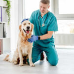 Pets and Pet Care